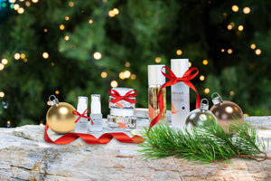 10 Reasons to Put the Décel Maintenance Kit at The Top of Your 2021 Gift List